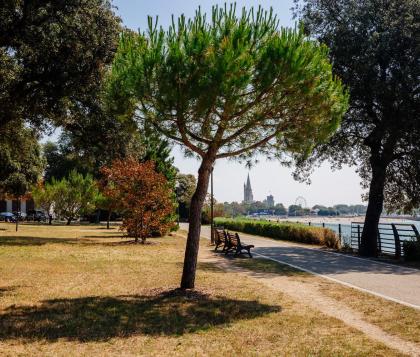 La Rochelle à vélo, que rêver de mieux ?
