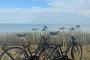 Des nouveaux vélos made in France au B&B La Rochelle Centre !